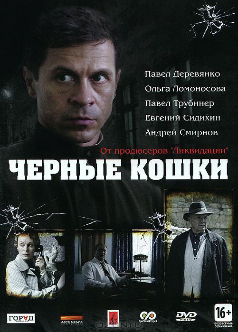 Черные кошки 2013. Чёрные кошки сериал Павел Деревянко. Павел Трубинер черные кошки. Чёрная кошка фильм 2013. Павел Деревянко 2013.